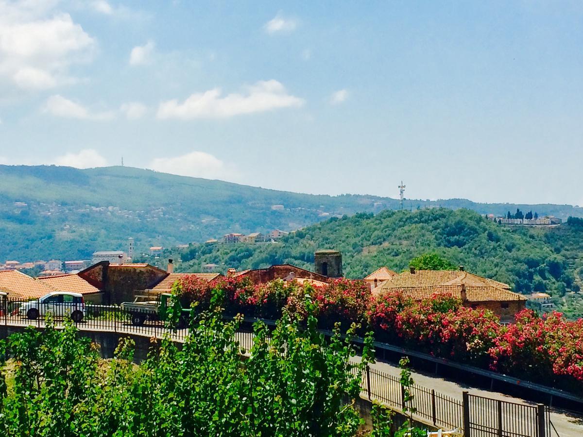 Pozzo Medievale Prignano Cilento Esterno foto