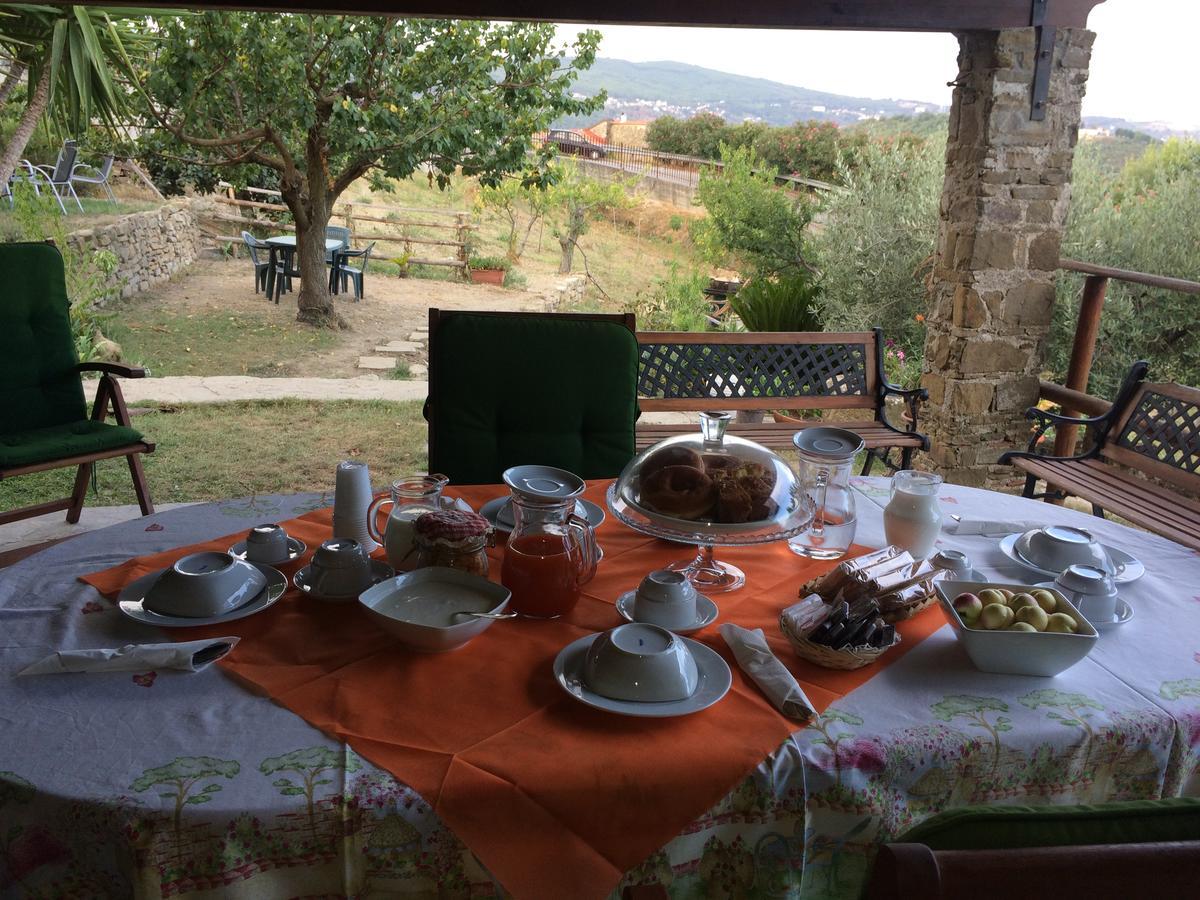 Pozzo Medievale Prignano Cilento Esterno foto