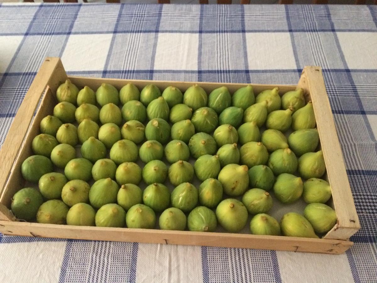 Pozzo Medievale Prignano Cilento Esterno foto